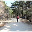 백양산임도 이미지