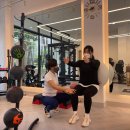 핏오브퀸즈 이미지