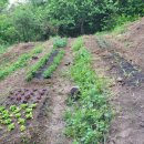 율하농장 이미지