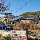 외양포경로당 네이버블로그