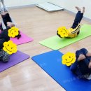 거북이GYM 이미지