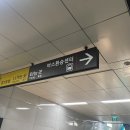 WR(인천광역시 계양구)-[용종로]-하-12 | 푸히일상 19 / 알차고 알찬 일주일