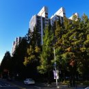 신나무실 신성 신안·쌍용·진흥 | 빠르게 진행 중인 수원 영통구의 신나무실 신성,신안,쌍용,진흥(민영5단지) APT 경매분석_2024타경86644