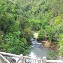 달랏(DA LAT) 이미지