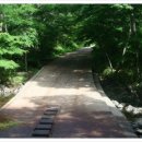 (주)사려니 이미지