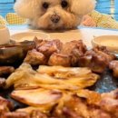 달다스테이 이미지