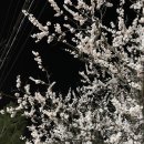 꼴통숯불구이 이미지