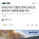 [속보] 대구 산불로 경부고속도로 북대구IC 양방향 통행 차단 이미지