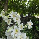 수룡동경로당 이미지