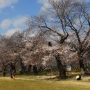 덕치초등학교 이미지