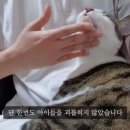 부장목장 이미지