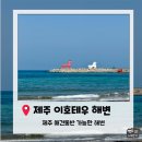 이호조아 | [제주애견동반여행] 애견동반 가능한 제주 이호테우해변 방문후기