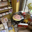 망원만물