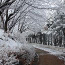 새마을근린공원 이미지