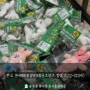 판교 현대백화점 12월 팝업, 알약x벌룬프렌즈 방문 후기(크리스마스 팝업, 기간, 위치)