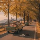 (주)기성타이어 연일점 | 레트로 여행지가 계속 사랑받는 이유와 자동차로 떠나는 감성 드라이브 코스 가이드