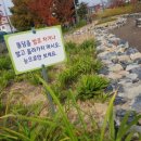 금구1 이미지