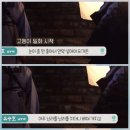 고양이랑 대판 싸운 유승호 이미지