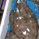 김천수산시장 이미지