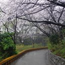 우룡산공원 이미지