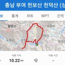 대문고개로 Daum카페