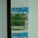 Stay Dole 이미지