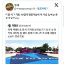 양궁 과녁 실제 크기 이미지