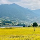 더플레인 이미지