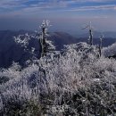 故 장일남 추모곡 - 비목 (시 :한명희 / 노래 : 수원시립합창단) 이미지