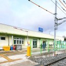 뉴동해관광호텔 | 👉 묵호 뚜벅이 여행 1박2일 코스 | 도째비마을·묵호항 조개구이·뉴동해관광호텔 후기