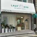 라우프독 | 라우프독 영등포 애견 미용실 내돈내산 (주차,신상애견미용실,깔끔)