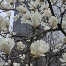 에이스랜드부동산공인중개사사무소 | 30년 수학쌤이 분석한 '서부전선'의 핵심, 49층 하이엔드 랜드마크(첨부: 목동3단지 26년 4월 시세표)