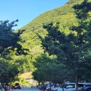 자연밸리 관광농원 이미지