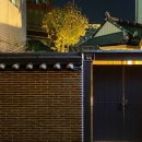 ANN게스트하우스 이미지