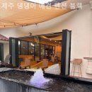 제주댕댕이애견펜션블랙 이미지