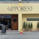 히포레스트(Hipporest) 이미지