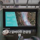 (주)메트로여행