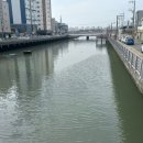 하단동1172 이미지