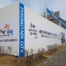 평택시치매안심센터 이미지