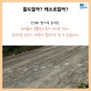 몰드와캐스트 네이버블로그