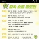 광양 숏폼 공모전 참여 후기 – 매돌이 담요 인증샷까지!