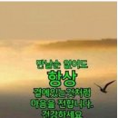 도란 이미지