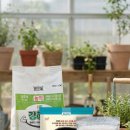 포항농약종묘사 이미지