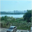 힐링카 워시베이 이미지