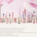 공릉 스타벅스 공릉역 카페 매장 내부 상세 사진 및 찐 후기
