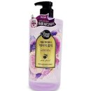 레몬향데이지 이미지