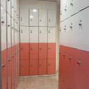 테라피 요가 & 매트 필라테스 이미지