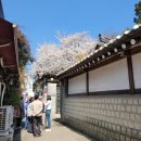 이화선약국 이미지