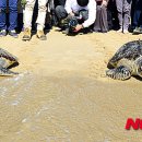 푸른바다 이미지