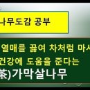 어떤나무K